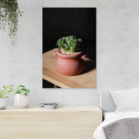 Foundry Select Green Cactus Plant On Brown Clay Pot 12 - 1 Piece Rectangle Graphic Art Print On Wrapped Canvas