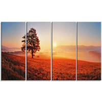 Design Art Tree and Sun Landscape 4 Piece Photographic Print on Wrapped Canvas Set