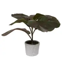 Primrue Primrue 11" Red and Green Artificial Fiddle Leaf Fig Plant in Pot.