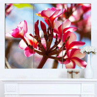 Made in Canada - Design Art 'Bunch of Beautiful Tropical Flowers' 3 Piece Photographic Print on Wrapped Canvas Set