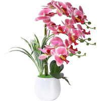 Primrue Artificial Orchid Plants And Flowers With Vase, Fake Faux Orchid In Ceramic Pot