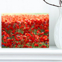 Design Art Thick Red Poppy Flower Field - Wrapped Canvas Photograph Print