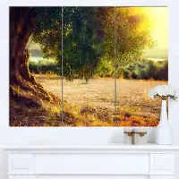 Design Art 'Stunning Olive Trees at Sunset' 3 Piece Photographic Print on Wrapped Canvas Set