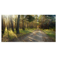 Made in Canada - Design Art Road Through Green Pine Forest - Wrapped Canvas Photograph Print