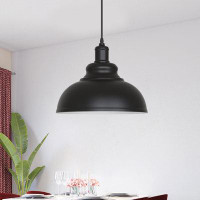 Breakwater Bay Odie 1 - Light Single Dome Pendant with No Secondary Or Accent Material Accents