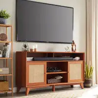 Bay Isle Home™ Selda 32'' Tall Highboy TV Stand for 65+ Inch TV, with Natural Rattan Door, Adjustable Shelves