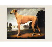 Buyenlarge 'Greyhound on a Parkland Landscape' by Christine Merrill Framed Painting Print