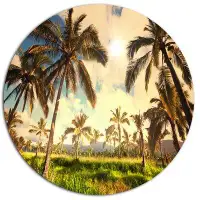 Design Art 'Beautiful Palm Plantation in Hawaii' Photographic Print on Metal