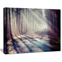 Made in Canada - Design Art 'Strong Sunbeams in Thick Forest' Photographic Print on Wrapped Canvas
