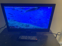 Used 19 Dynex  LED TV with HDMI for Sale