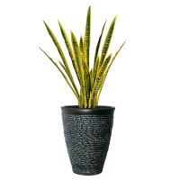 Vintage Home 55'' Artificial Snake Plant in Planter