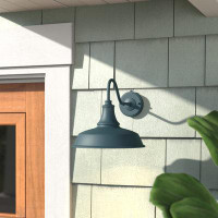 Andover Mills Gunnora Outdoor Barn Light with Dusk to Dawn