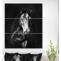 Made in Canada - East Urban Home 'Black Kladruby Horse Portrait in the Darkness' Photographic Print Multi-Piece Image on