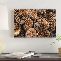 East Urban Home 'Acorns Growing on Plants' Graphic Art Print on Canvas