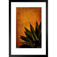 Latitude Run® Agave On Adobe Sunset By Chris Lord Photo Plant Room Decor Aesthetic Plant Art Prints Large Botanical Post