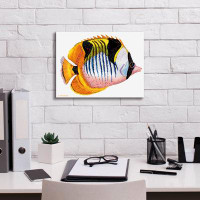 Highland Dunes Fish 1 Red Yellow On Canvas by Olga And Alexey Drozdov Print