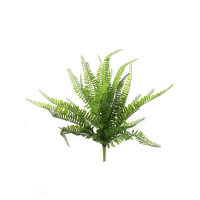 Primrue Deluxe 22" Boston Fern Set, 6 Pieces - Lush Green Indoor/outdoor Decorative Plant, Perfect For Home And Garden B