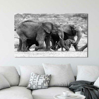 World Menagerie 'Elephant Family' Photographic Print