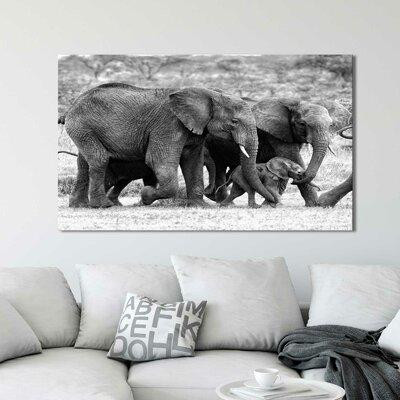 World Menagerie 'Elephant Family' Photographic Print in Arts & Collectibles