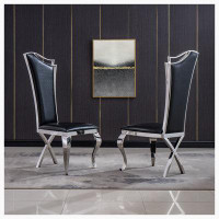 Hokku Designs Unique Design Backrest Dining Chair with Stainless Steel Legs Set of 2