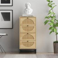 Bay Isle Home™ Alyzae Accent Chest
