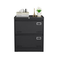 Latitude Run® 2 Drawer Metal Lateral File Cabinet With Lock,Office Vertical Files Cabinet For Home Office/Legal/Letter/A