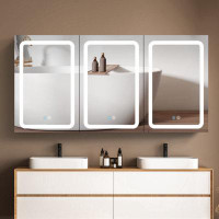 Orren Ellis 60X30 Inch LED Bathroom Medicine Cabinet Surface Mount Double Door Lighted Medicine Cabinet, Medicine Cabine