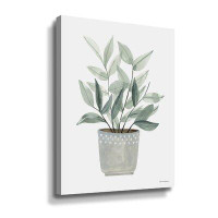 August Grove Sage Planter Gallery Wrapped Floater-Framed Canvas