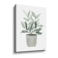 August Grove Sage Planter Gallery Wrapped Floater-Framed Canvas