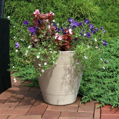 Bay Isle Home™ Chandra Resin Pot Planter in Patio & Garden Furniture