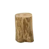 Union Rustic Lochhead End Table