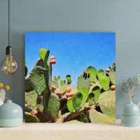 Foundry Select Green Cactus Plants - Wrapped Canvas Painting
