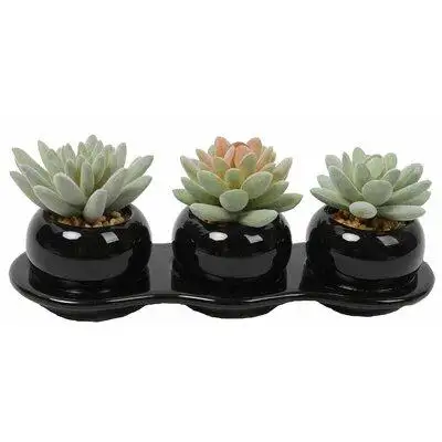 George Oliver 3 Artificial Assorted Cactus Succulent in Pot Set