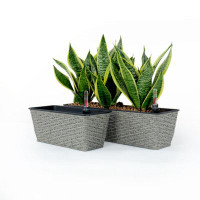Winston Porter 2-Pack Smart Self-Watering Rectangle Planter For Indoor And Outdoor - Hand Woven Wicker - Grey