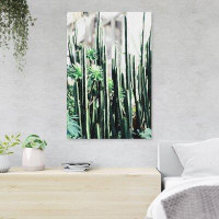 Foundry Select Selective Focus Photography Of Cactus Plants - 1 Piece Rectangle Graphic Art Print On Wrapped Canvas