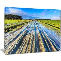 Design Art Muddy Sand Lane on Sunny Day - Photographic Print on Wrapped Canvas