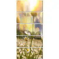 Design Art 'Blooming Chamomiles Flowers' 5 Piece Photographic Print on Wrapped Canvas Set
