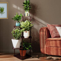 Arlmont & Co. 5 Tier Tall Plant Shelf Plant Holders
