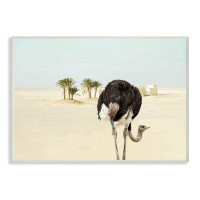 Dakota Fields Ostrich in Desert Muted Sand Landscape by Ziwei Li - Photograph Print
