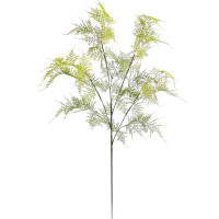 Primrue Unique 35" Asparagus Spray Set - 12 Piece Green, Perfect For Distinctive Home Decor, Event Styling, And Greenery