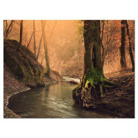 Design Art Wild Creek in National Park - Wrapped Canvas Photograph Print