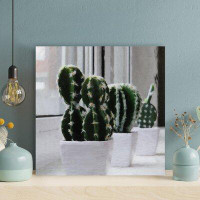 Foundry Select Three Potted Green Cactus Plants - 1 Piece Square Graphic Art Print On Wrapped Canvas