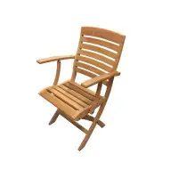 Wildon Home® Nemanja Teak Folding Arm Chair, Natural