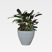 Latitude Run® Modern Light Grey Pot Planter 13.8'''' X 11.4'''' With Black Dots By Jardina