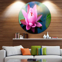 Design Art 'Lotus Flower in the Pond' Photographic Print on Metal