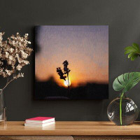 Latitude Run® Silhouette Of Plant During Sunset - 1 Piece Rectangle Graphic Art Print On Wrapped Canvas
