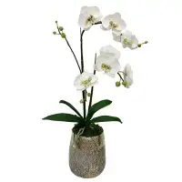 Primrue Round Glass Vase Hammered Large - White & Green Double Orchid Artificial
