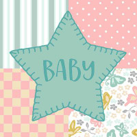 Harper Orchard Courtepointe Baby IV Baby
