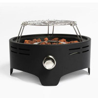 Ebern Designs 15 Inch Outdoor Portable Propane Fire Pit, Camping Fire Pit With Cooking Support Tabletop Fire Pit With Qu