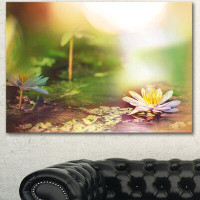 Made in Canada - Design Art 'Lotus Flowers on Green Background' Graphic Art on Wrapped Canvas